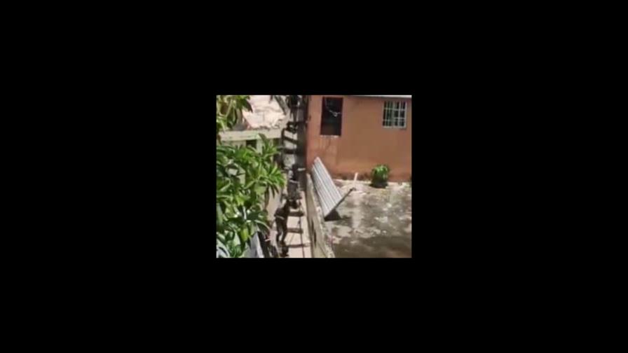 Hombre ultimado en La Puya pertenecía a una banda y se le conocía como Nanito
