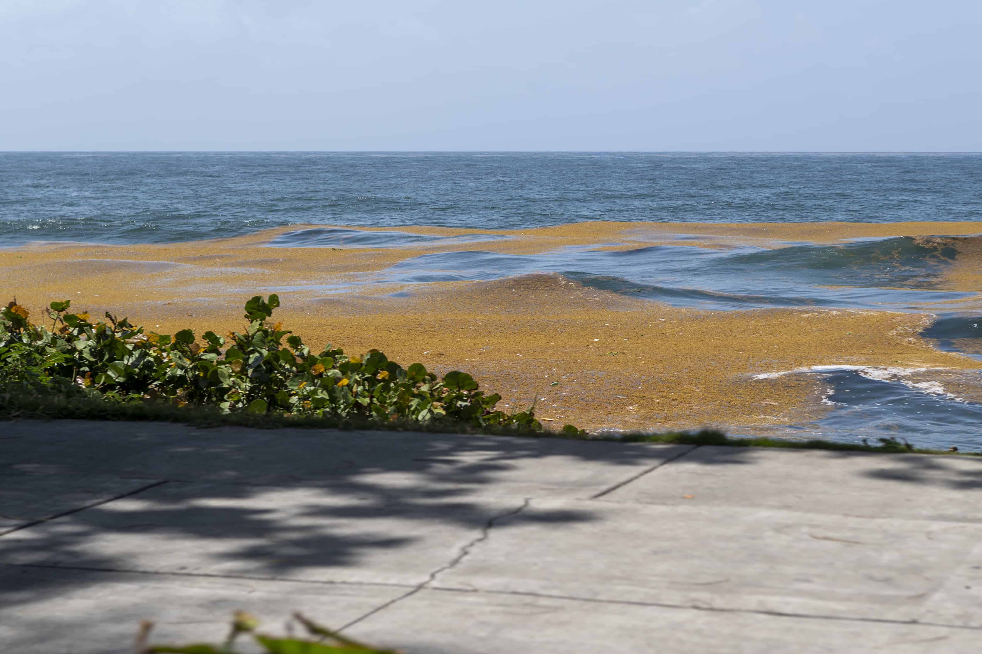 Salgazo en el Malecón de Santo Domingo, ayer lunes.