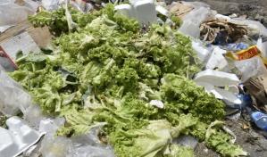 Espa&ntilde;a multar&aacute; el desperdicio de alimentos con hasta 500,000 euros