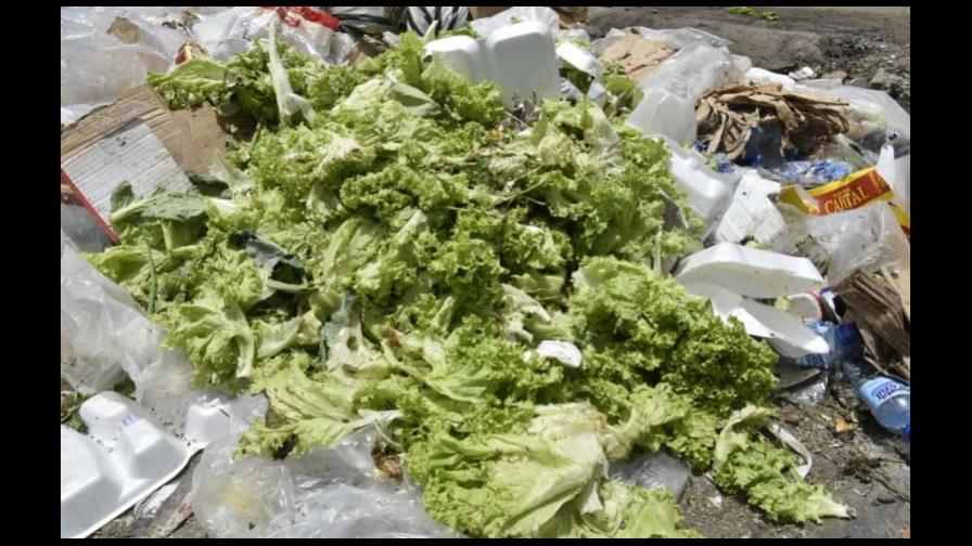 España multará el desperdicio de alimentos con hasta 500,000 euros