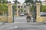 Aumentan medidas de seguridad en el Palacio Nacional tras asesinato de Orlando Jorge Mera Aumentan medidas de seguridad en el Palacio Nacional tras asesinato de Orlando Jorge Mera