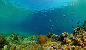 Contaminación y cambio climático como telón de fondo en el Día Mundial de los Océanos