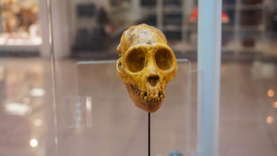 Exposiciones y teatro para salir de la rutina el fin de semana