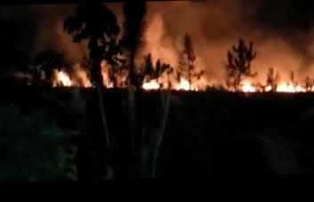 Reportan dos fuegos forestales en Jarabacoa