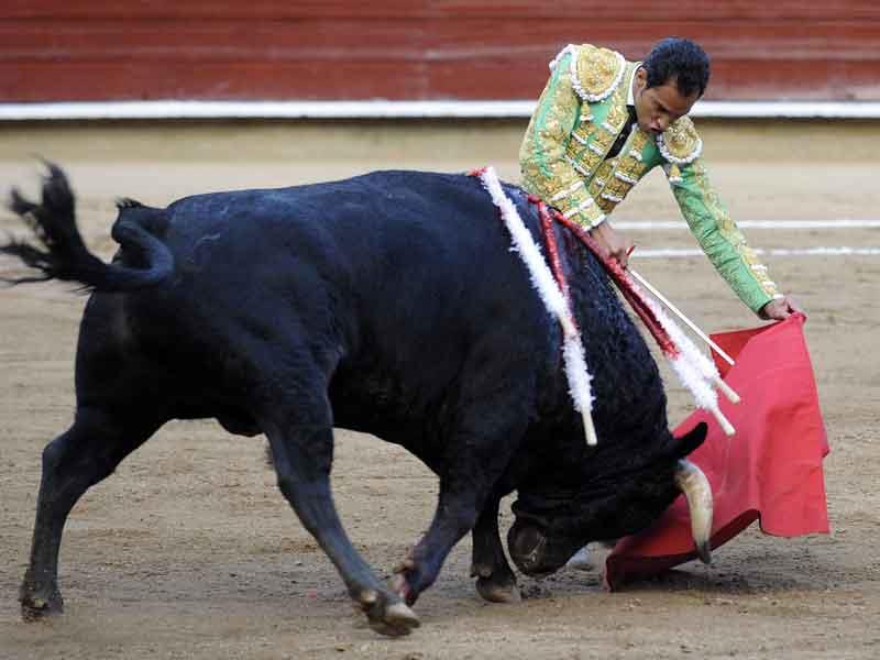 Juez suspende indefinidamente las corridas de toros en mayor plaza de México