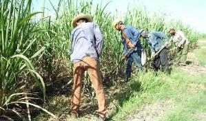 República Dominicana y EE.UU. acuerdan cooperación en materia laboral