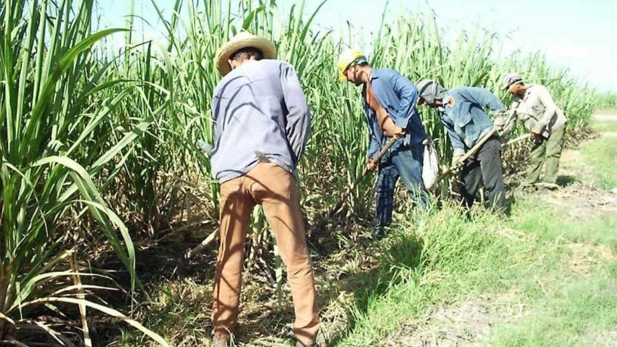 República Dominicana y EE.UU. acuerdan cooperación en materia laboral República Dominicana y EE.UU. acuerdan cooperación en materia laboral