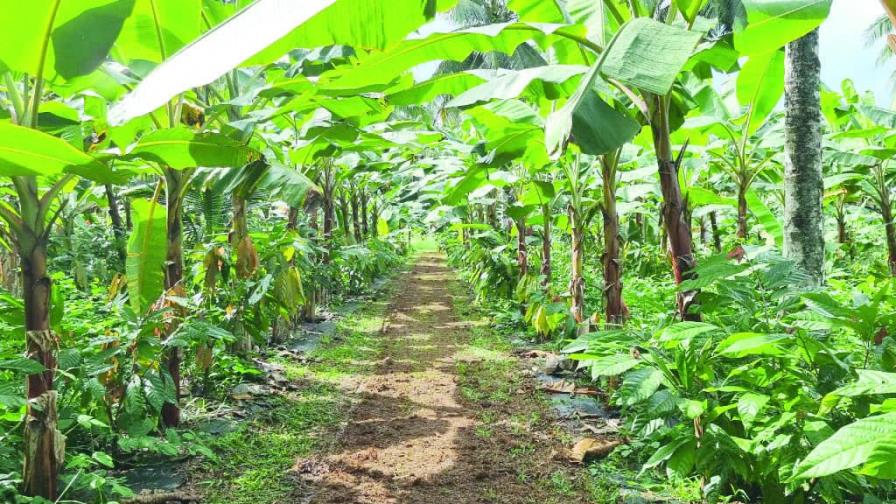 Refuerzan la protección de la Loma Quita Espuela