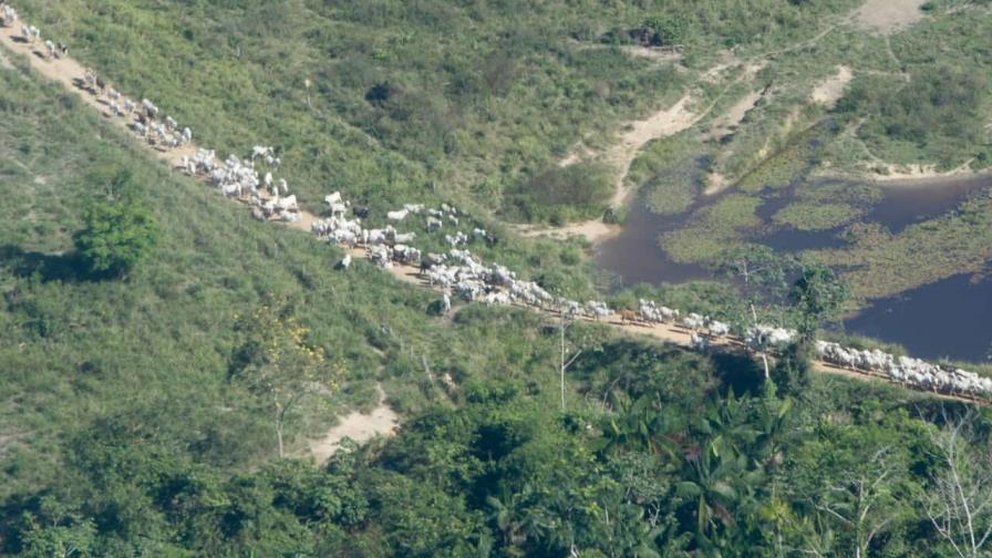 Los municipios de Brasil que más emiten gases CO2 están en la Amazonía