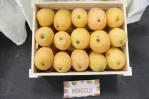 ¿De verdad el mango mingolo es la “joya de la corona” dominicana?