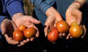 Latinoam&eacute;rica necesita sistemas alimentarios m&aacute;s sostenibles, seg&uacute;n el FIDA