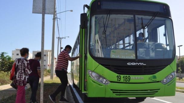 Omsa dispondrá de guaguas gratis para celebración de Corpus Christi en el Faro a Colón