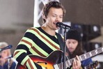 Harry Styles ser&aacute; el comisario del festival Meltdown 2026 en Southbank Centre