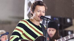 Harry Styles ser&aacute; el comisario del festival Meltdown 2026 en Southbank Centre