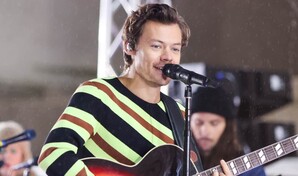 Harry Styles ser&aacute; el comisario del festival Meltdown 2026 en Southbank Centre