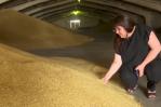 Guerra en Ucrania no da tregua a productores de cereales