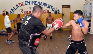 Dominicano Rosa y panemeño Ortega pelean hoy por título mundial de boxeo