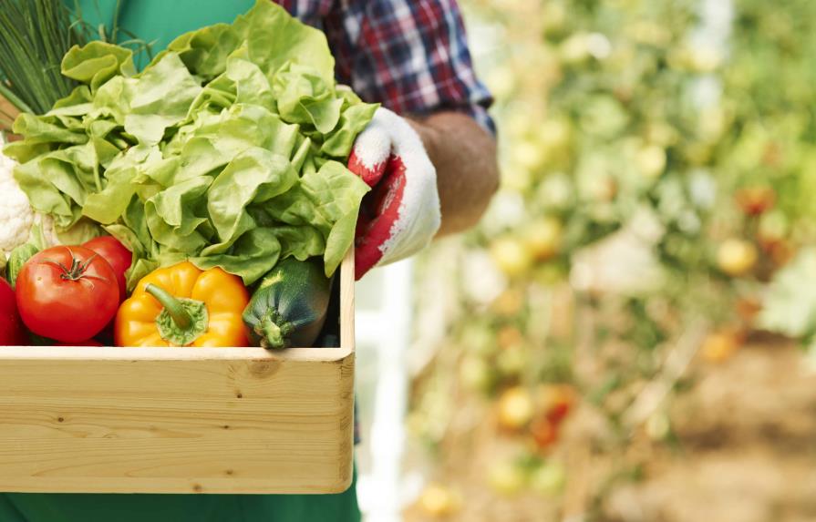 Cómo elegir los vegetales más frescos