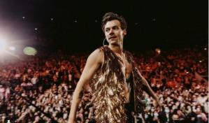 Harry Styles y Olivia Wilde se encuentran muy enamorados