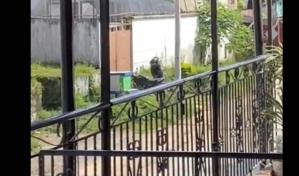 Video | Un polic&iacute;a herido tras explosi&oacute;n de moto bomba en Colombia