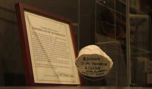 Un molde del pene de Jimi Hendrix se suma a la colecci&oacute;n de la Faloteca de Islandia