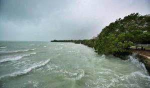 La tormenta tropical Celia se forma en costas del estado mexicano de Chiapas