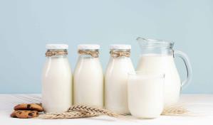 Leche: su consumo podría vincularse al deterioro cognitivo en adultos