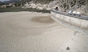 La mitad de la población mundial ya sufre los efectos de la desertificación, según ONU