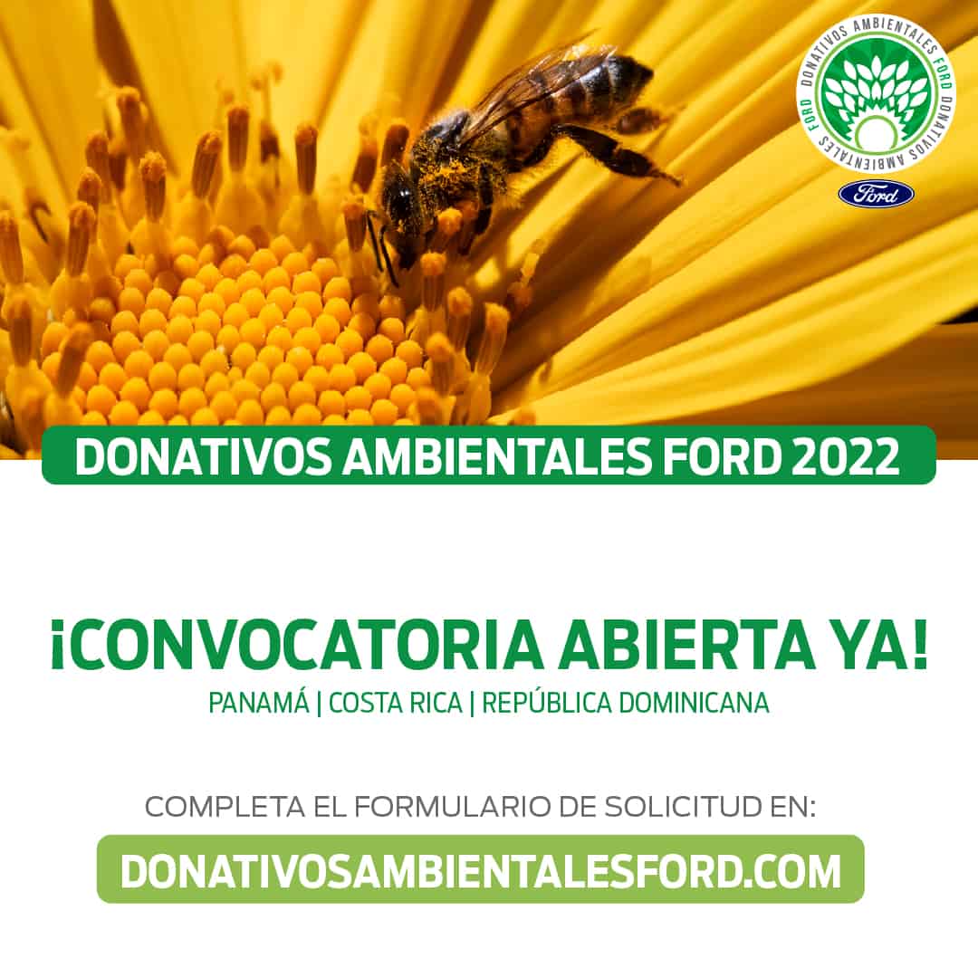 Infografía