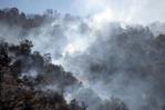 Más de 850 incendios forestales están activos en EE.UU. al comenzar el verano