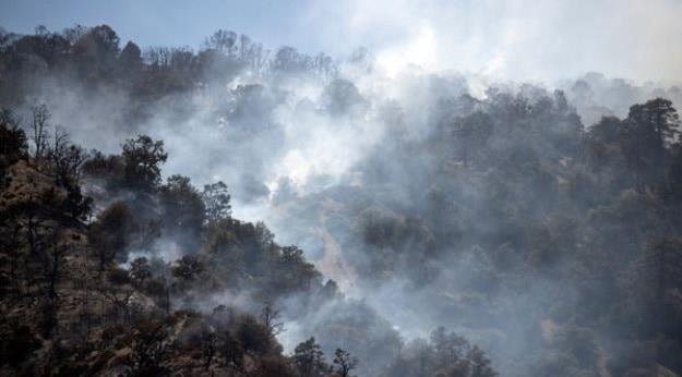 Más de 850 incendios forestales están activos en EE.UU. al comenzar el verano