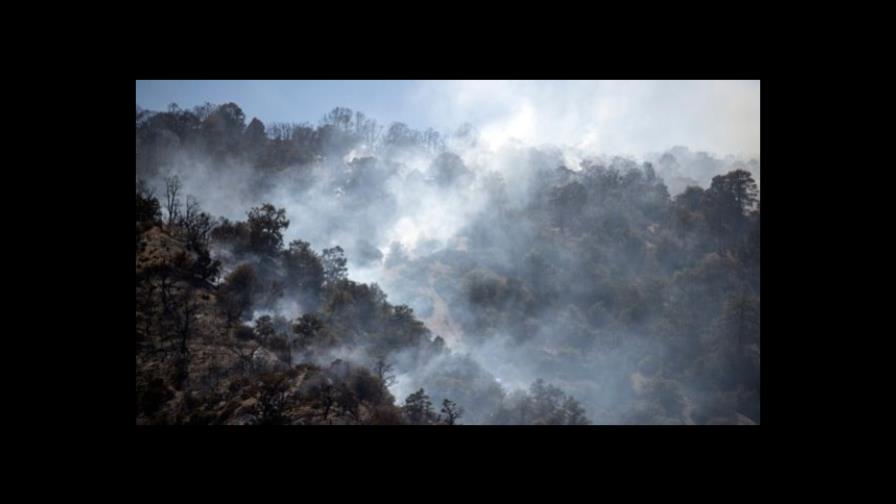 Más de 850 incendios forestales están activos en EE.UU. al comenzar el verano