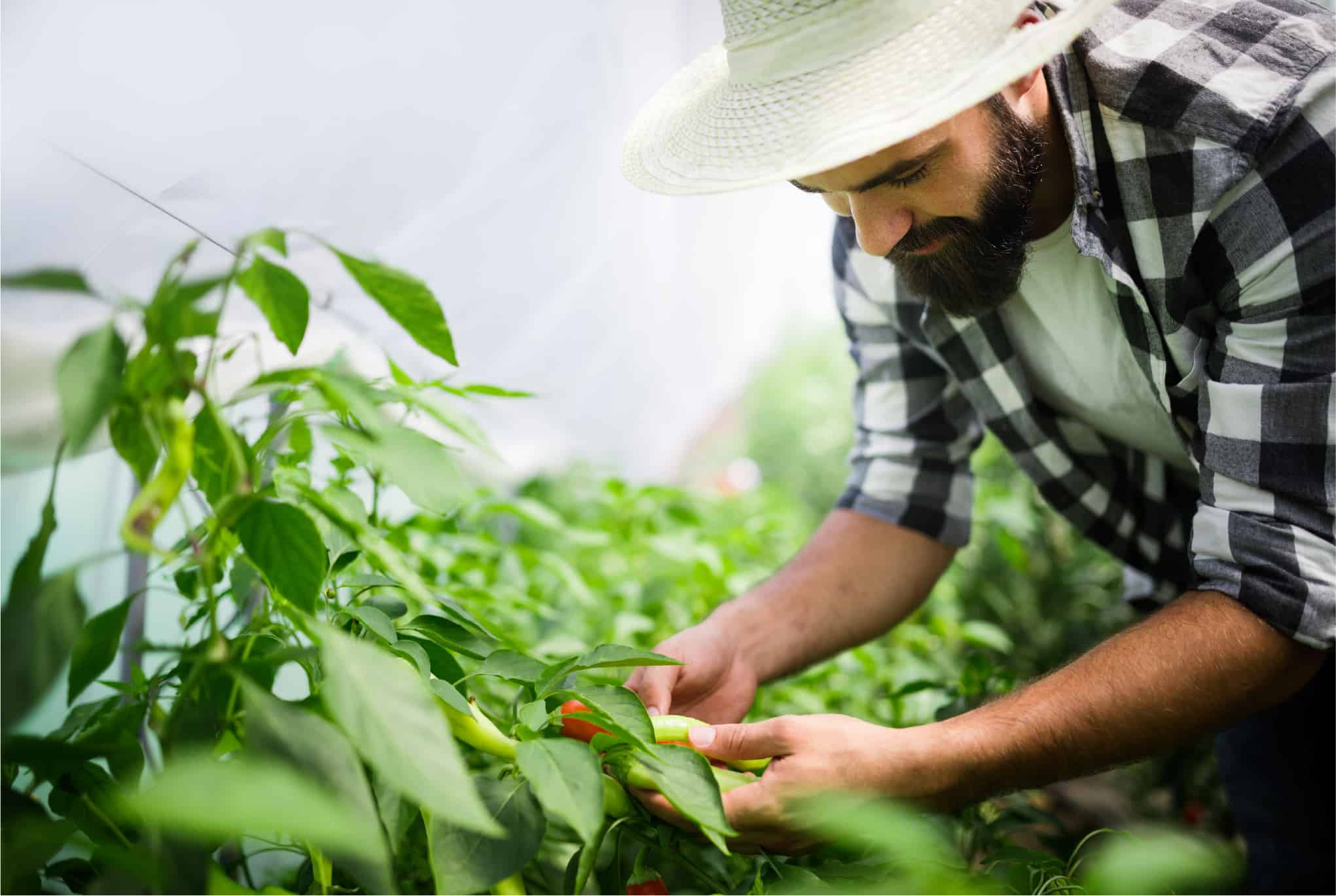 Conservación y recuperación de la biodiversidad, seguridad alimentaria, gestión de residuos y energías renovables son las categorías de las iniciativas que se incentivarán este año.