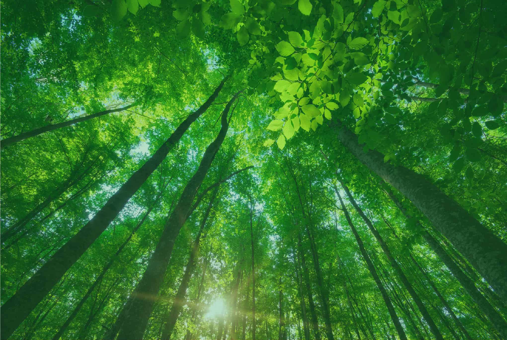 Conservación y recuperación de la biodiversidad, seguridad alimentaria, gestión de residuos y energías renovables son las categorías de las iniciativas que se incentivarán este año.
