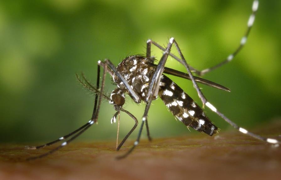 Epidemiología advierte casos de dengue tienden a subir en la segunda mitad del año