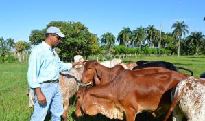 El Conaleche ha prestado más de RD$223 millones a sector ganadero