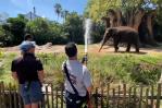Elefante combate el calor estival de Florida bajo la manguera de los bomberos