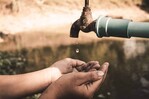 Puerto Rico solicita una declaración federal de emergencia agrícola ante la sequía Puerto Rico solicita una declaración federal de emergencia agrícola ante la sequía