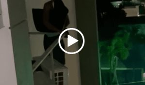 Video | Hombre trepa torre para robar en apartamento