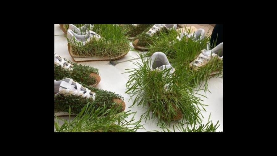 El día que Loewe hizo crecer hierba en los zapatos El día que Loewe hizo crecer hierba en los zapatos
