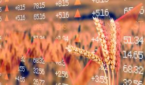 Paralelos pero distintos