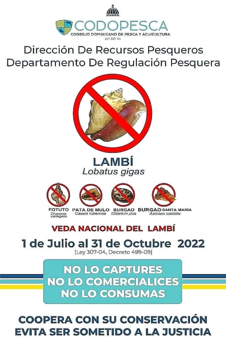 Infografía