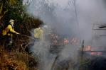 Incendios en Amazonía brasileña suben en primer semestre y prenden alarmas