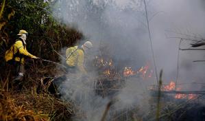 Incendios en Amazonía brasileña suben en primer semestre y prenden alarmas