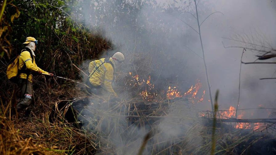 Incendios en Amazonía brasileña suben en primer semestre y prenden alarmas