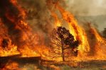 El cambio climático aumentará la posibilidad de incendios forestales en el mundo, según estudio El cambio climático aumentará la posibilidad de incendios forestales en el mundo, según estudio
