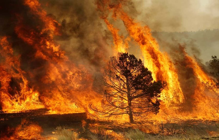 El cambio climático aumentará la posibilidad de incendios forestales en el mundo, según estudio