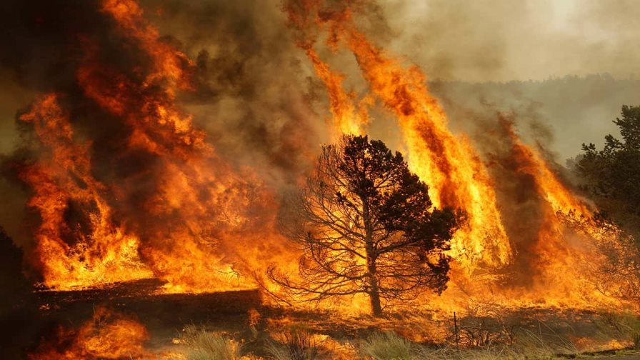 El cambio climático aumentará la posibilidad de incendios forestales en el mundo, según estudio