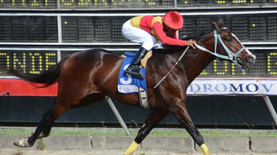 Hípica sigue triple corona el sábado en el Quinto Centenario Hípica sigue triple corona el sábado en el Quinto Centenario