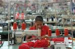 Subsector textil y prendas de vestir tiene mayor proporción de mipymes formales de RD Subsector textil y prendas de vestir tiene mayor proporción de mipymes formales de RD
